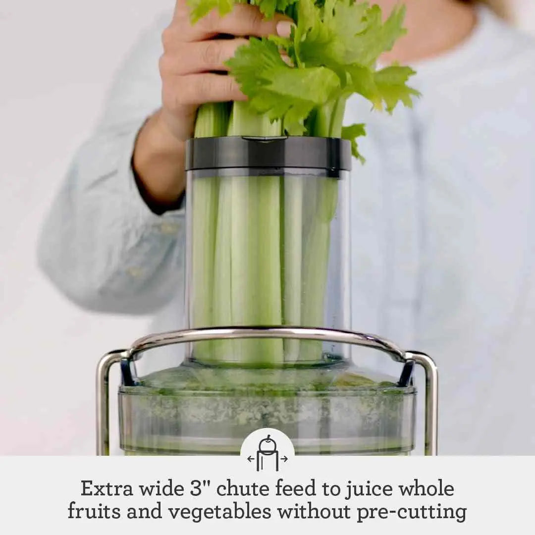 Breville Juice Fountain Cold Juicer silver model with 70-oz jug and stainless steel body